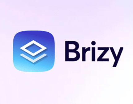 Brizy Pro