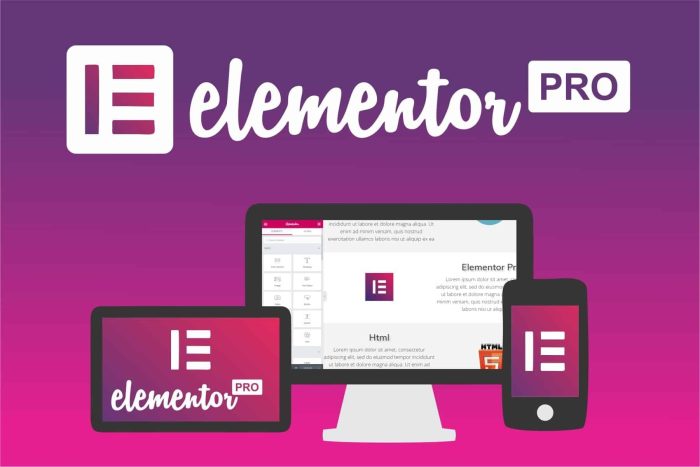 elementor pro page builder