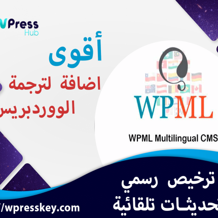 wpml multilingual agency