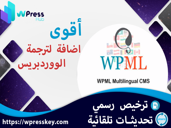 wpml multilingual agency